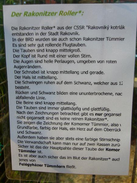 Ortsschau Langenberg 2008 173.jpg - Rakonitzer Roller